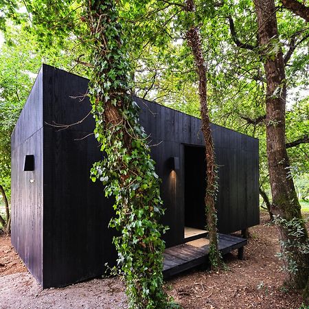 סאריה A Leira 116 Cabanas De Diseno מראה חיצוני תמונה