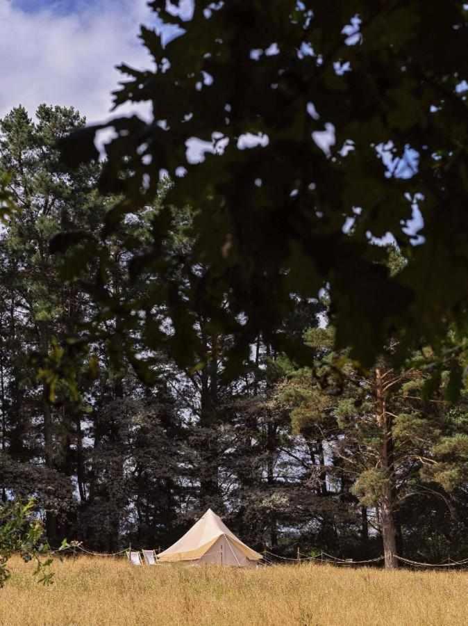 סאריה A Leira 116 Cabanas De Diseno מראה חיצוני תמונה