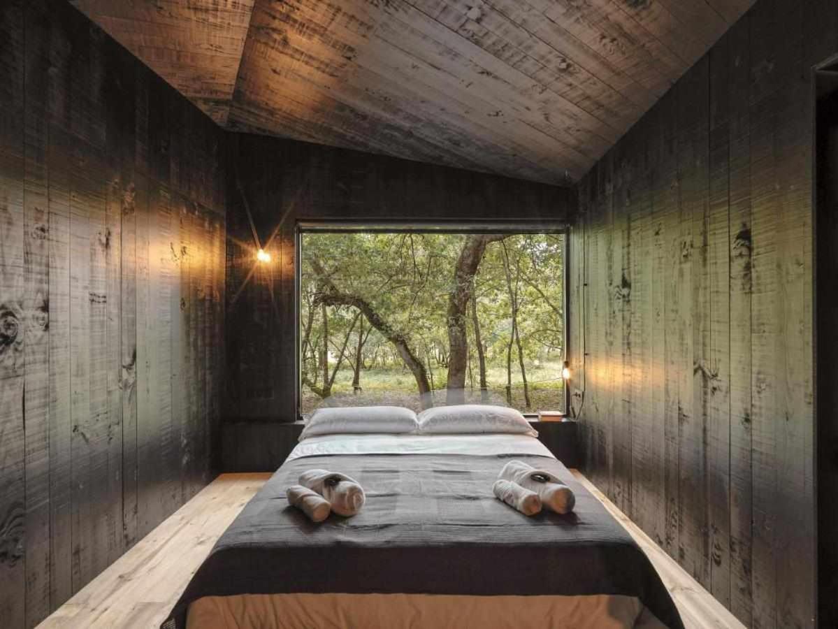 סאריה A Leira 116 Cabanas De Diseno מראה חיצוני תמונה