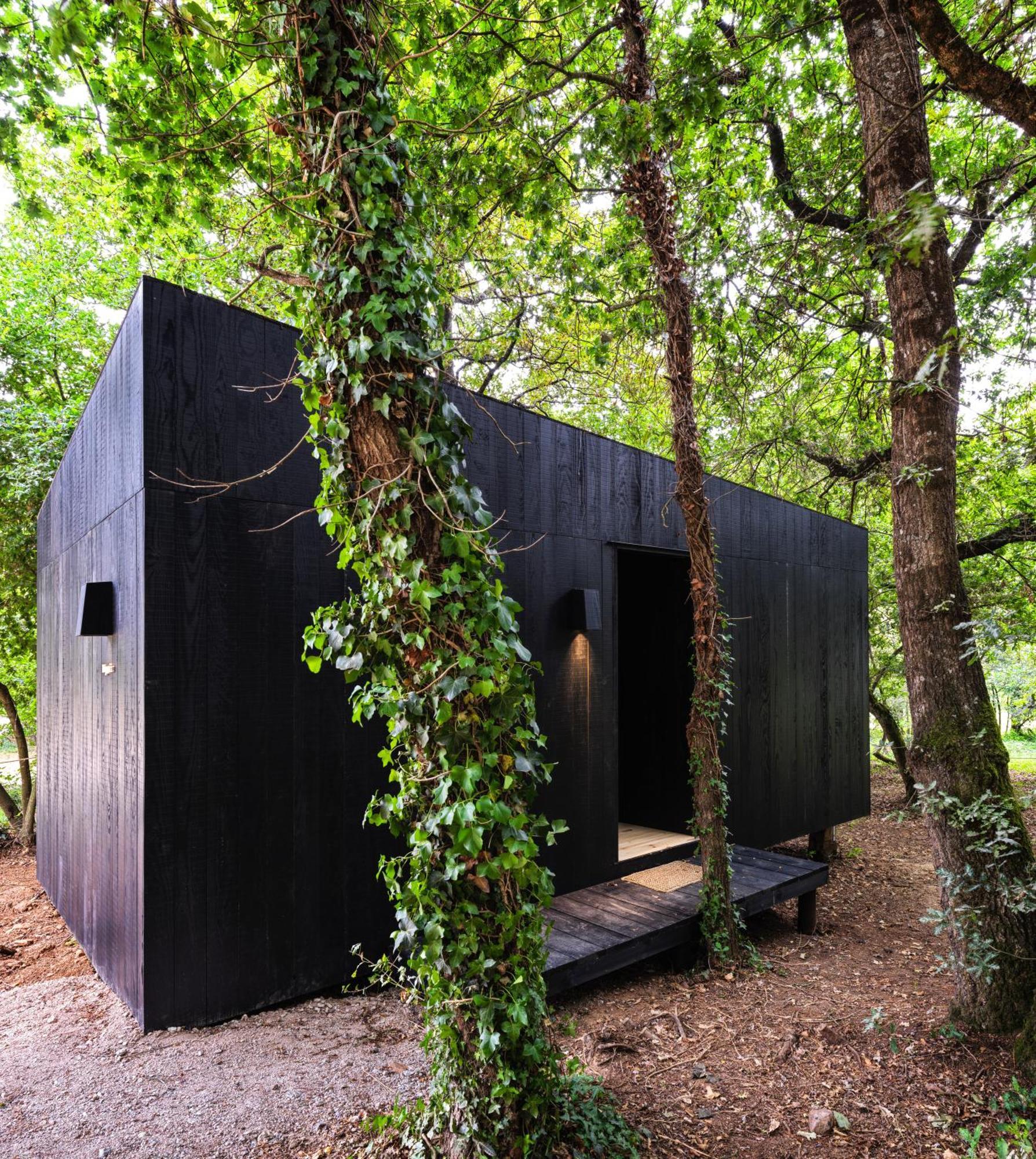 סאריה A Leira 116 Cabanas De Diseno מראה חיצוני תמונה